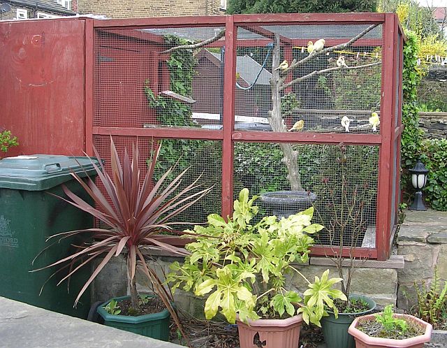 Factors To Consider When Planning To Install An Aviary In Your Garden